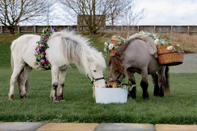 Mini Moments Ponies