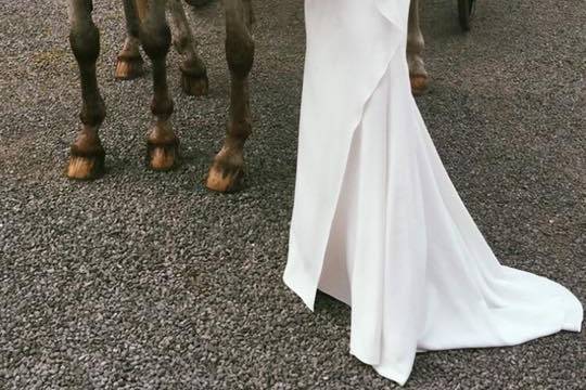 Bride and pair of horses