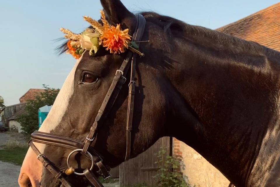 Horse flower crown