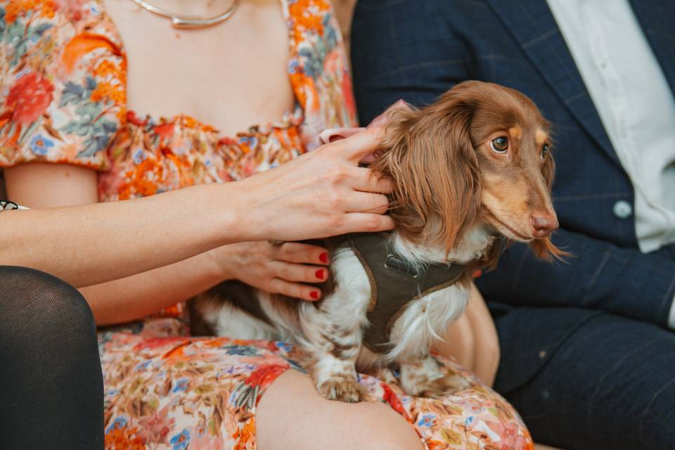 Prepping the ring bearer