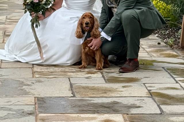 Smushleberry Strolls Canine Services