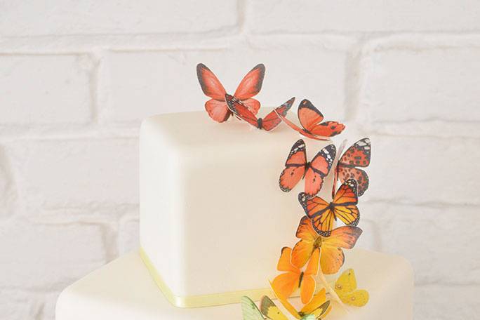 LGBTQ Butterflies