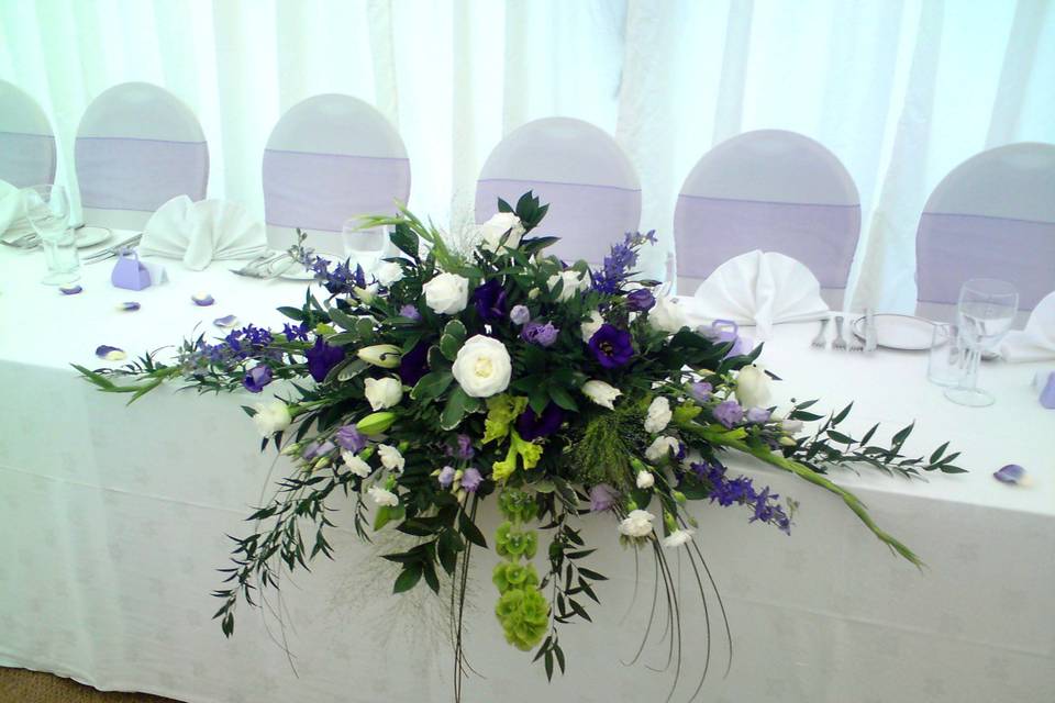 Delphinium Flowers