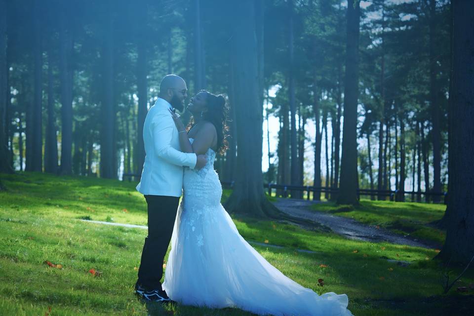Still from wedding trailer