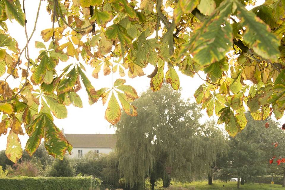 By the village pond