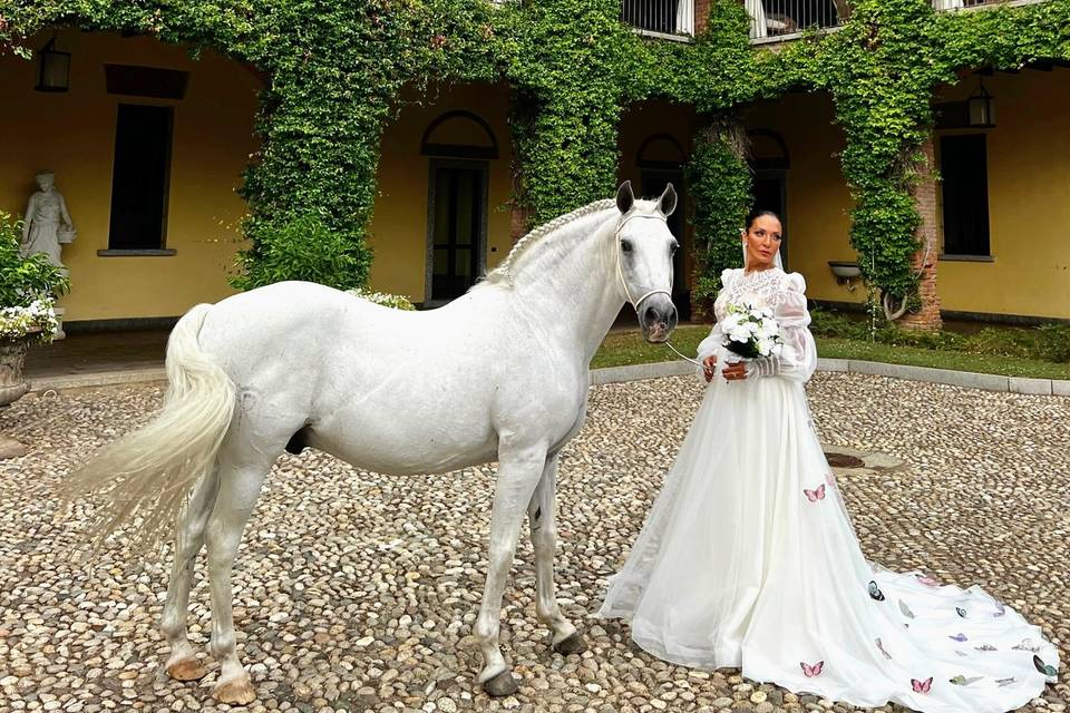 Villa Savino