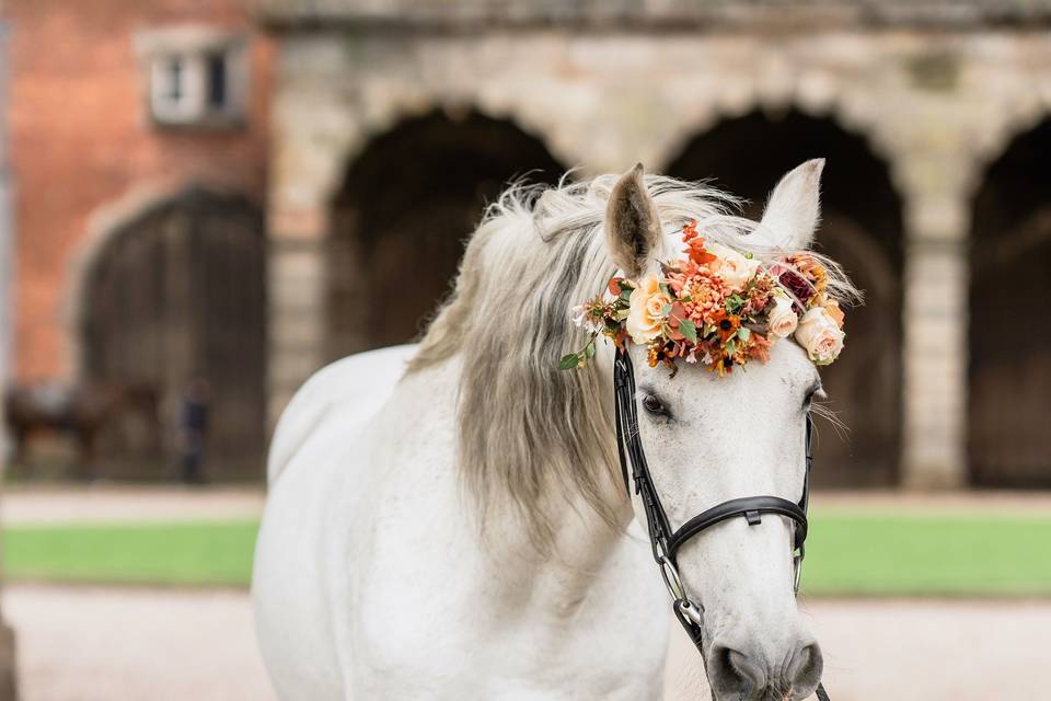 Floral horse brow