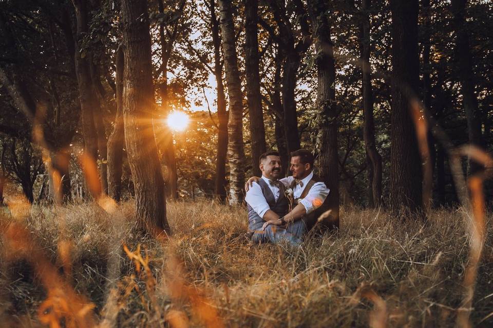 Sunset beam through trees