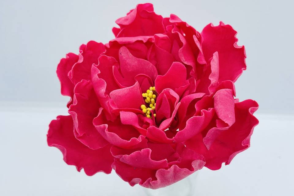 Peony