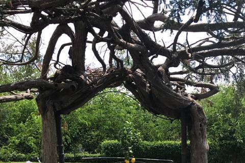 Arch