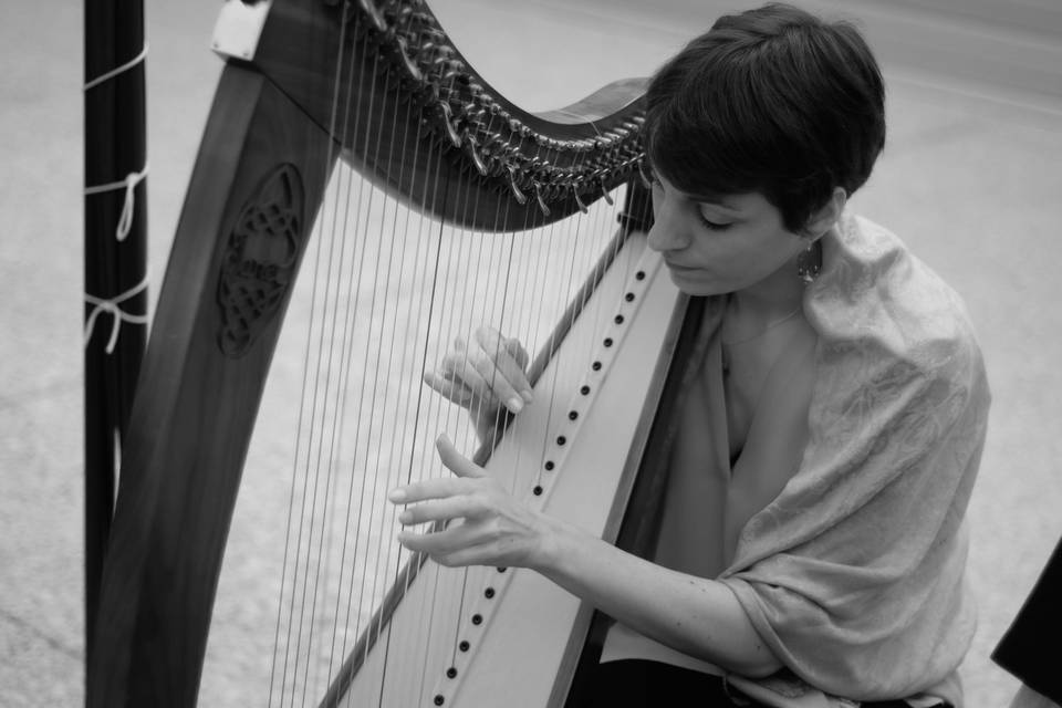 Charlotte Nenert Harp