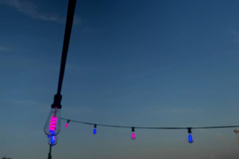 Funky Festoon