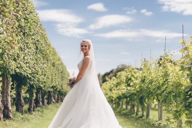 Bride in Vineyard