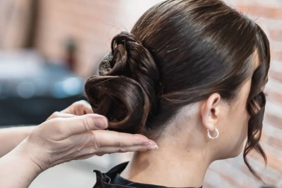 Smooth -Sleek folded bun