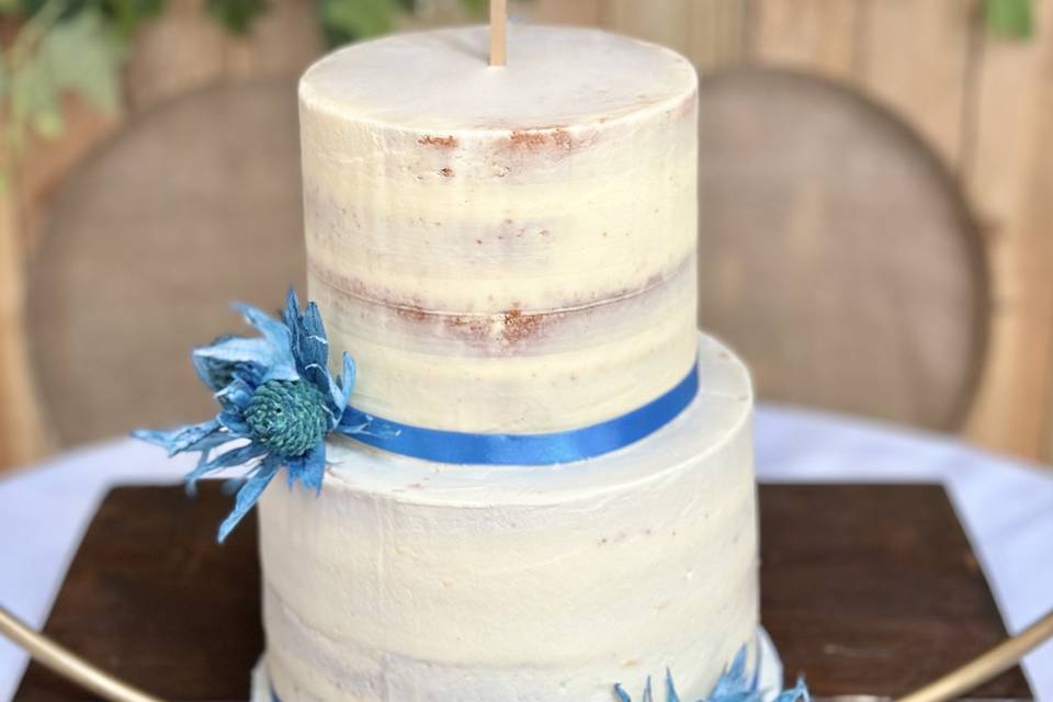 Semi naked cake