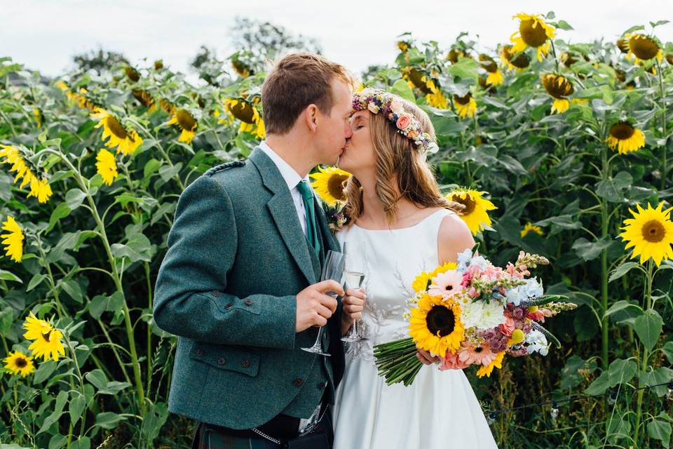 In a field of sunflowers - Sarah Fulton Photography