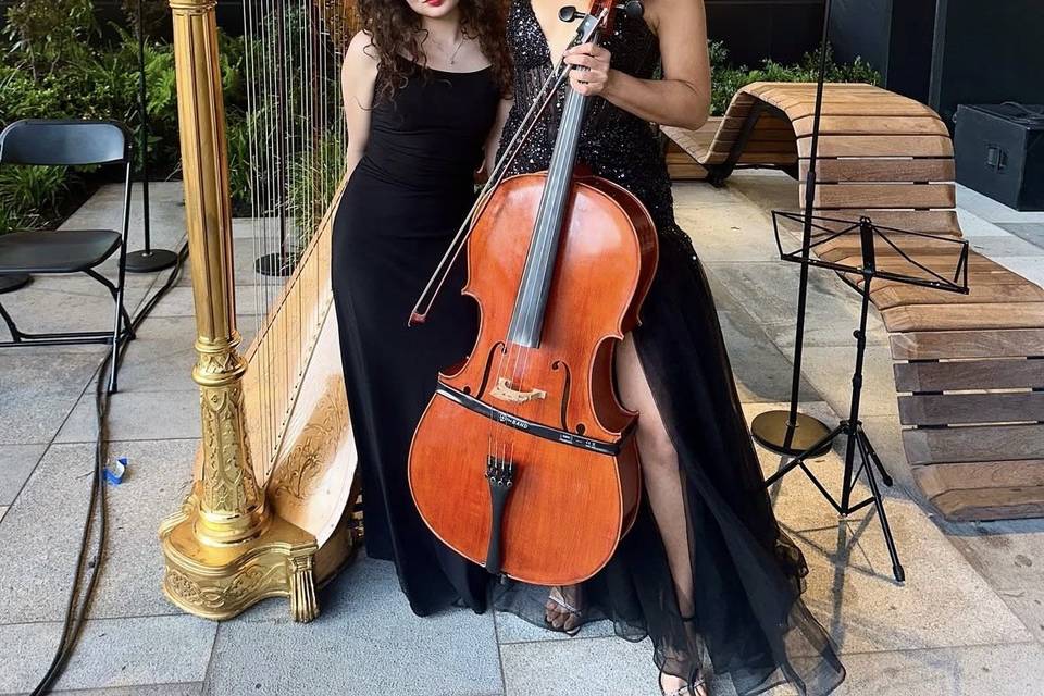 Harp & Cello Duo