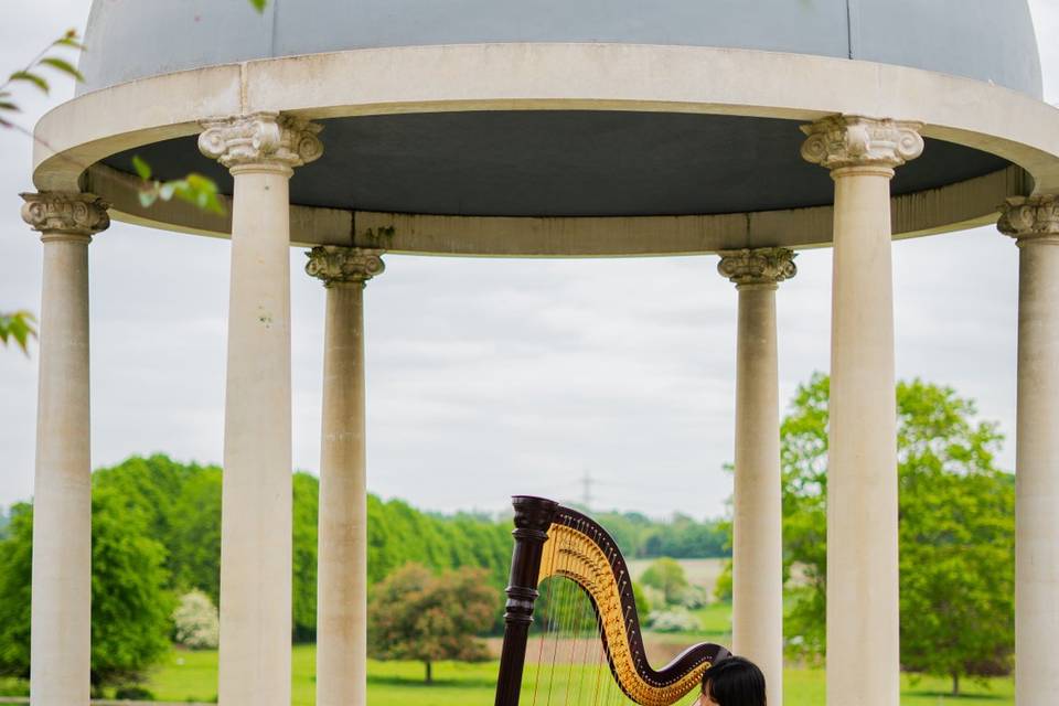 Solo Harpist