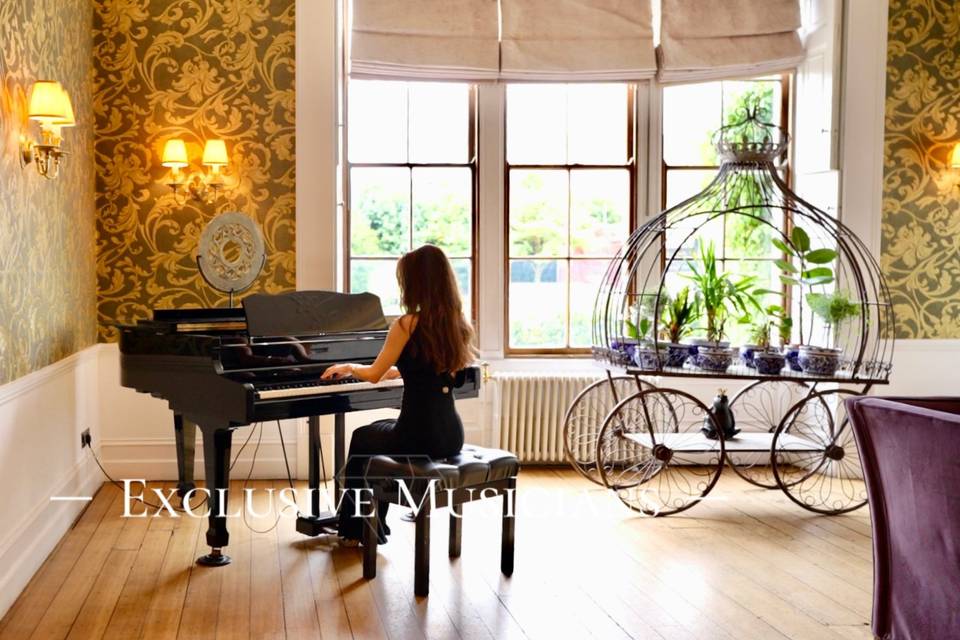 Solo pianist