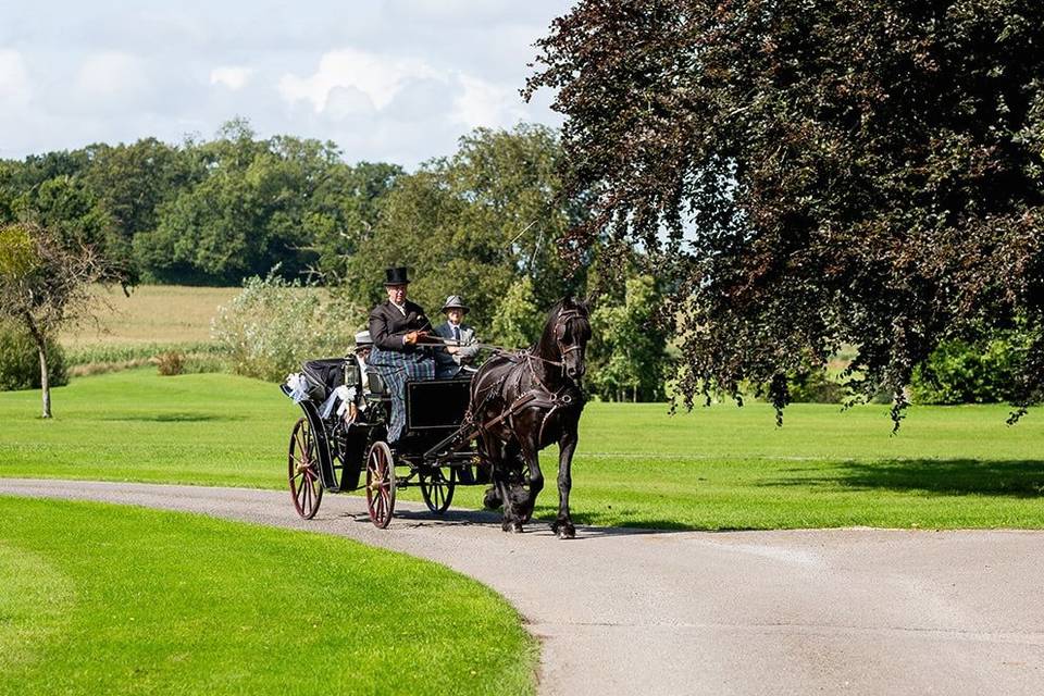 Horse and carriage