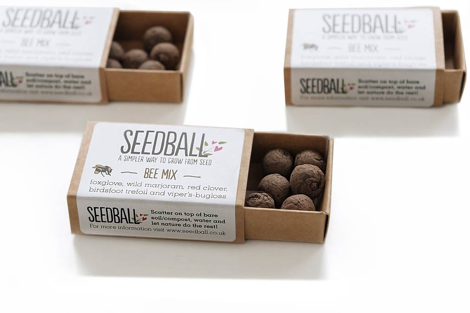 Seedball Matchbox