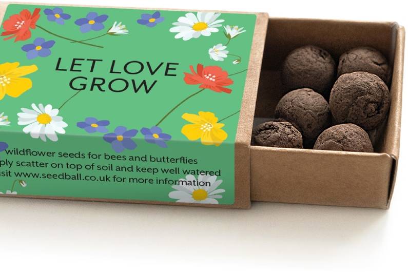 Let Love Grow Box