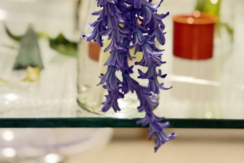 Trailing hyacinth
