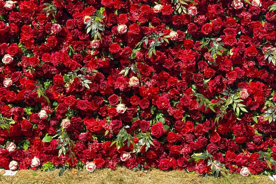 Full 8ftx8ft Amore flower wall
