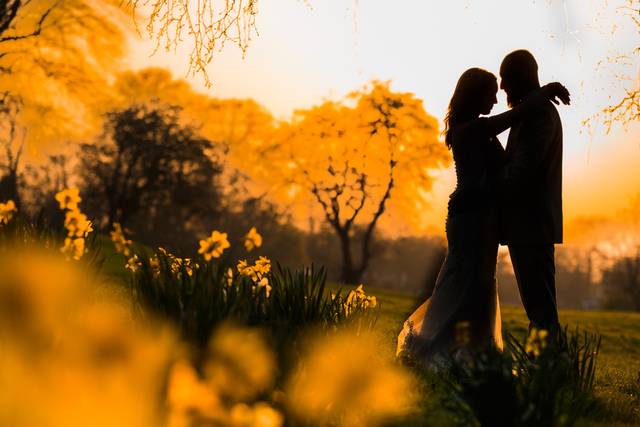 Sunset silhouette