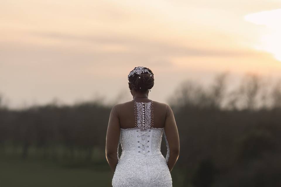 Elegant Bride Portrait
