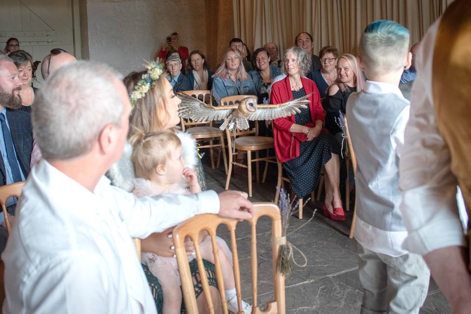 Ring bearer owl