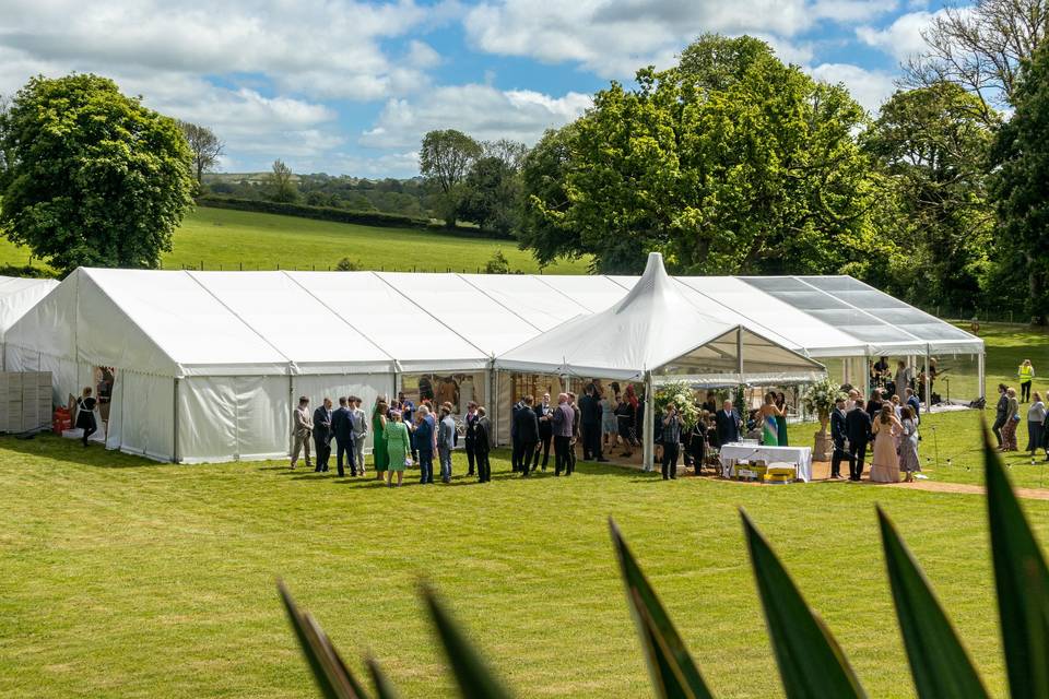 Marque on Lawn