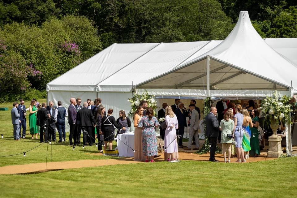 Marque on Lawn