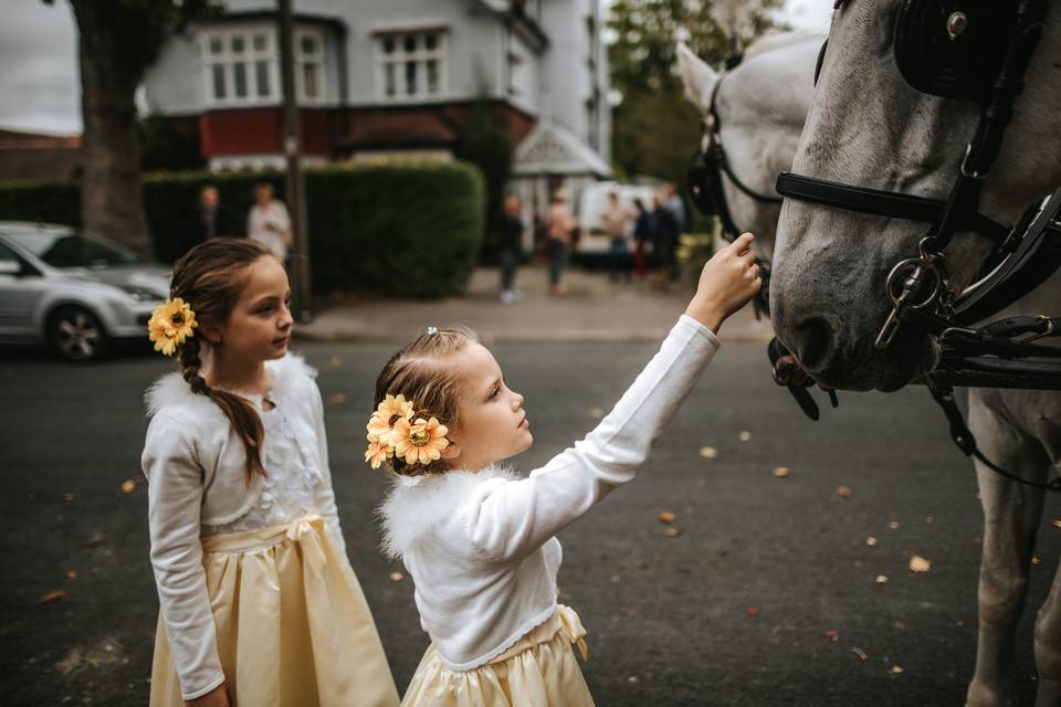 Photographers Blue Lily Weddings 42