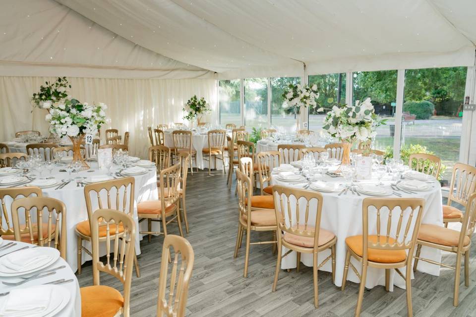 Marquee Layout  2