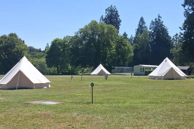 Devon Canvas Luxury Bell Tent Hire