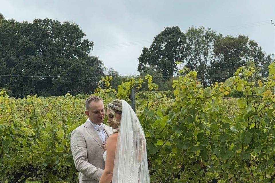 English Oak Vineyard