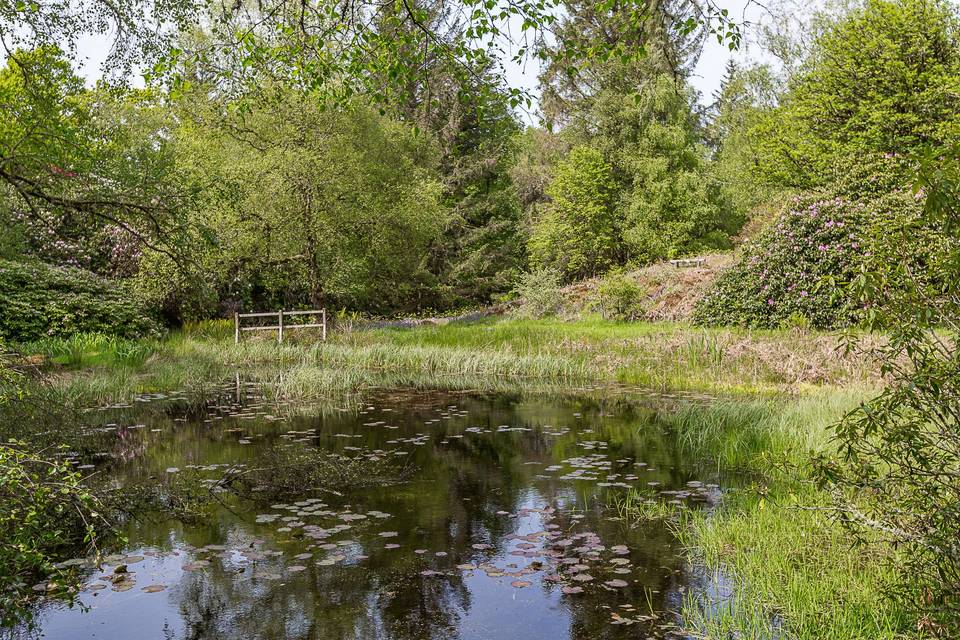 The lochan