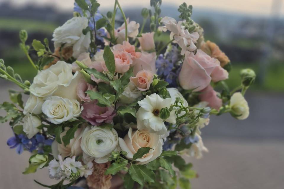 Soft tones with pops💙🩷