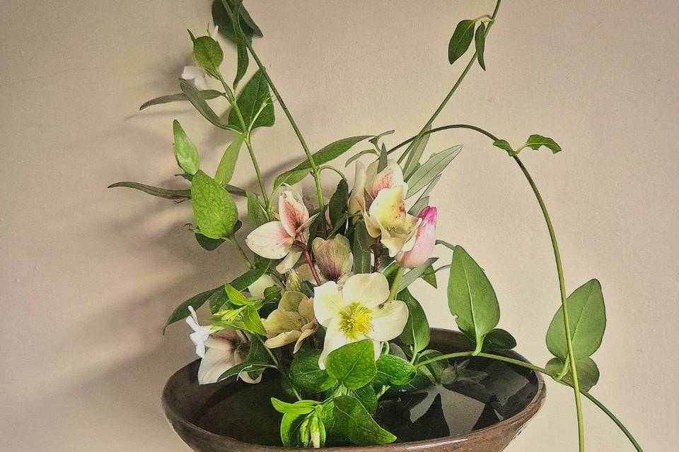 Footed low bowl elegance