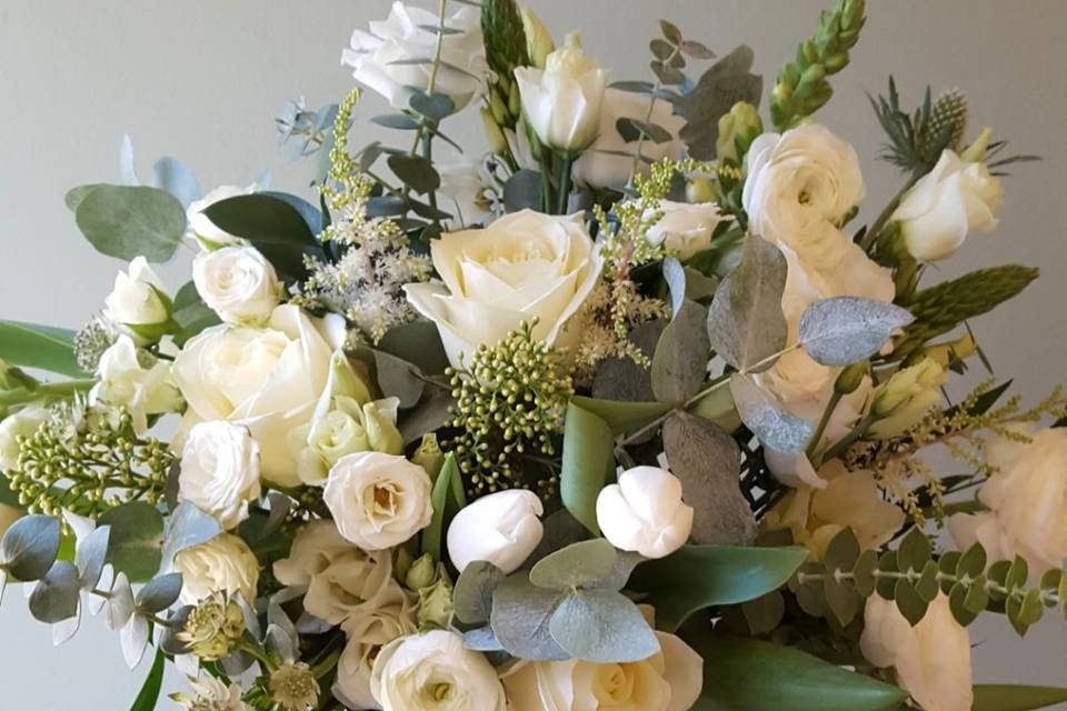 A bouquet of springs