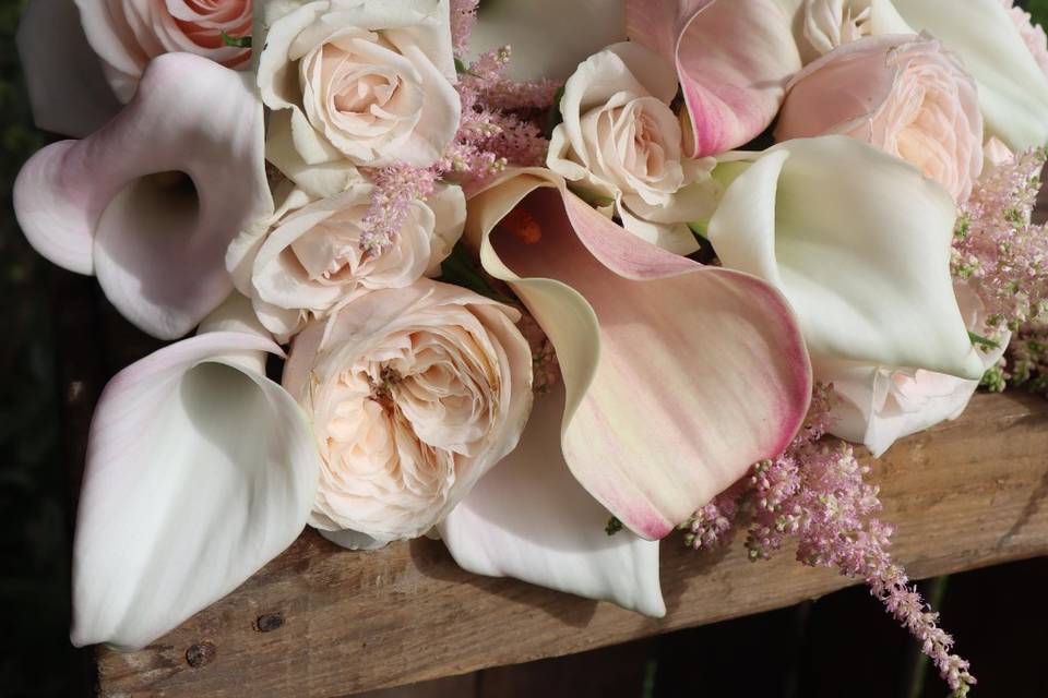 Ruffles of pinks