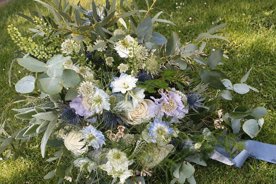 Pale blue meadow