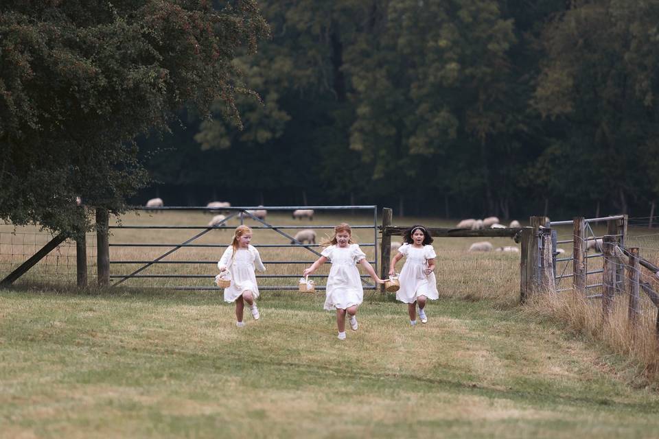 Joyful Miniature Guests