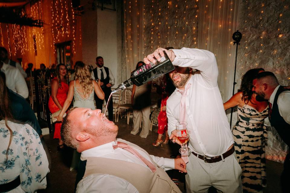 Rosedew farm high energy