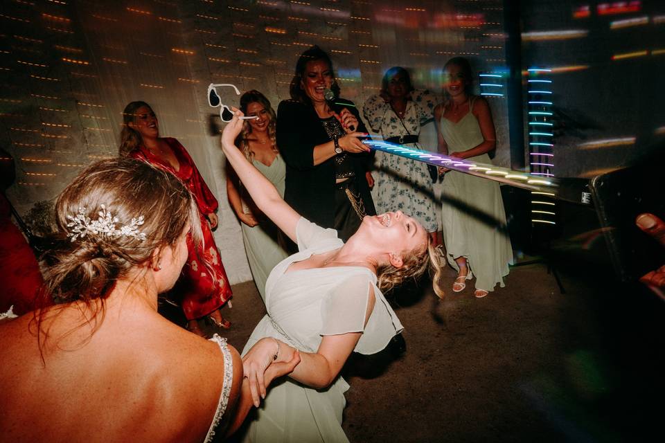 Rosedew farm high energy