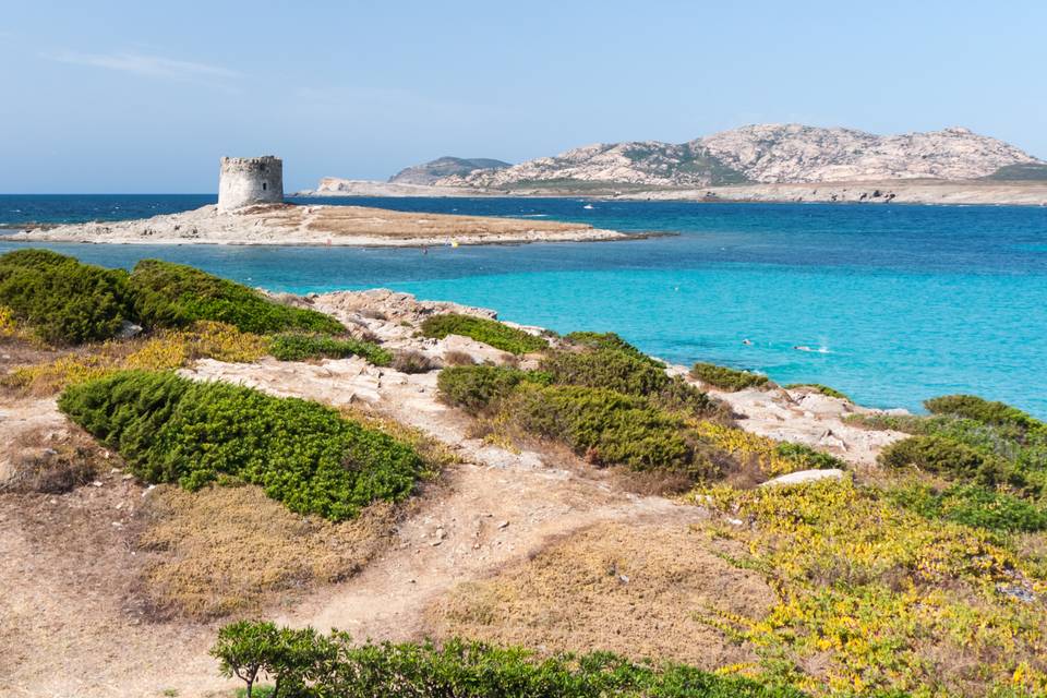 Panorama from restaurant