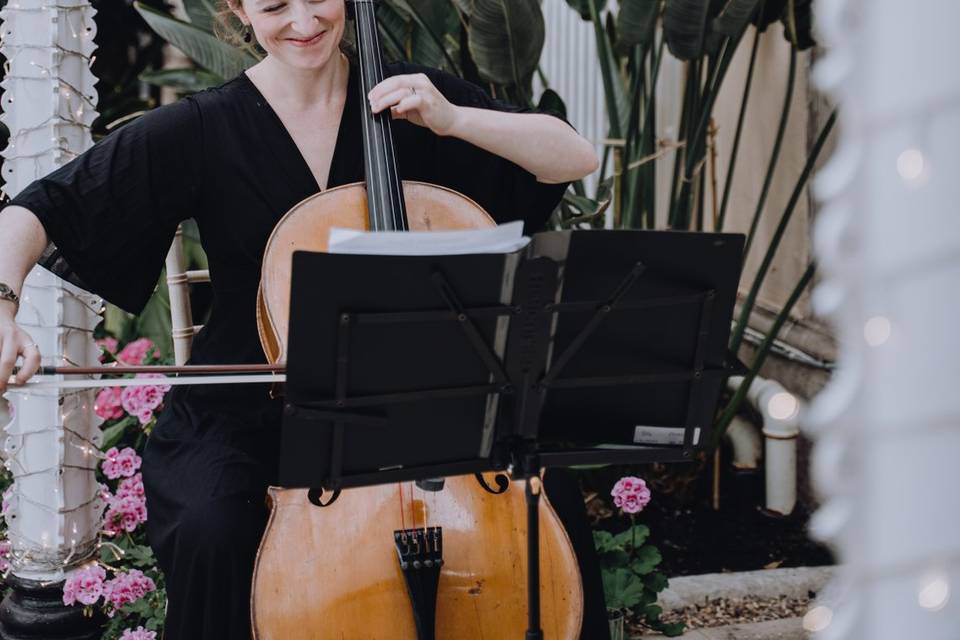 Violin on a wedding