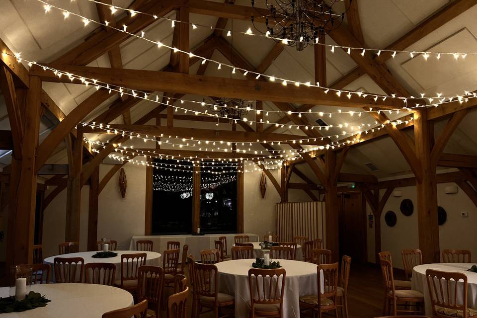 Fairy Light Canopy