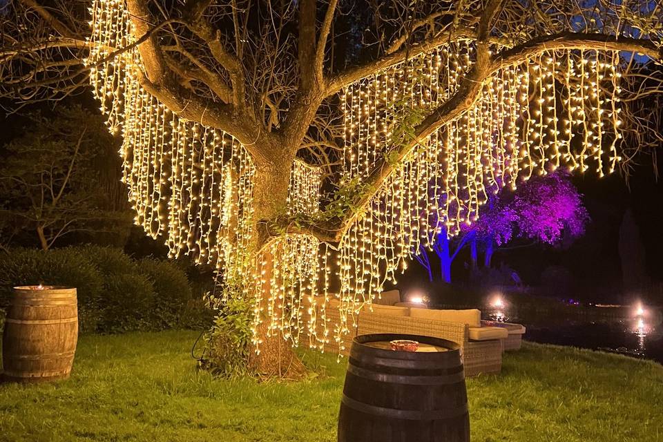 Tree Fairy Light Curtains